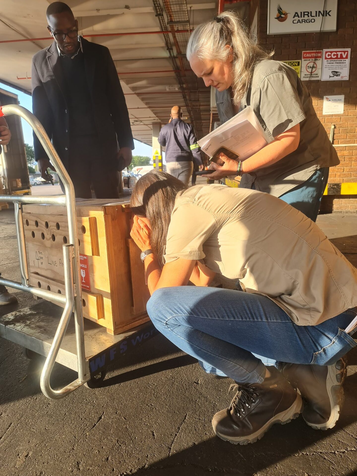 Kindness in Action: South Africans Unite to Rescue Endangered Pangolin