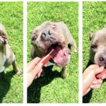 Judd’s Beloved Apollo Celebrates His Birthday... And Dreams of a New Beginning