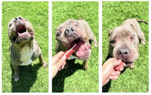 Judd’s Beloved Apollo Celebrates His Birthday... And Dreams of a New Beginning