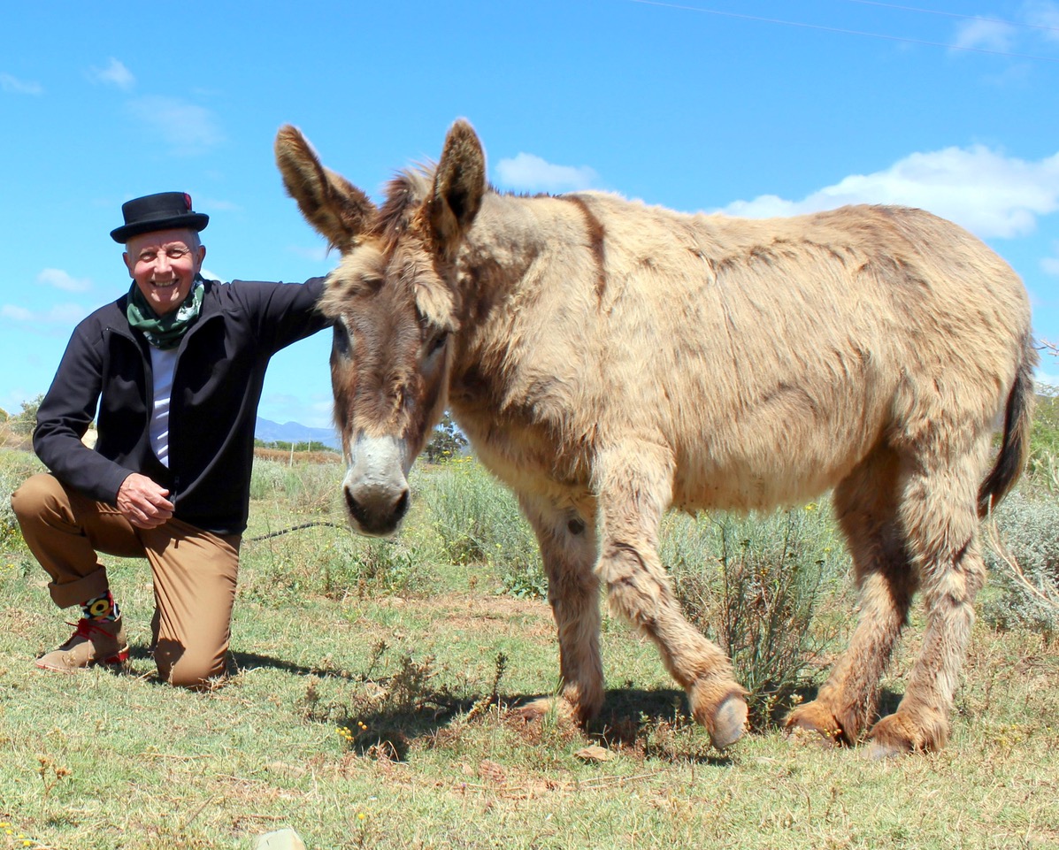 Eseltjiesrus Donkey Sanctuary | A Two Hour Detour From Cape Town for Adorable Donkeys