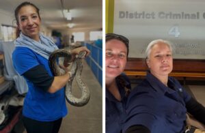 Johannesburg Wildlife Vet