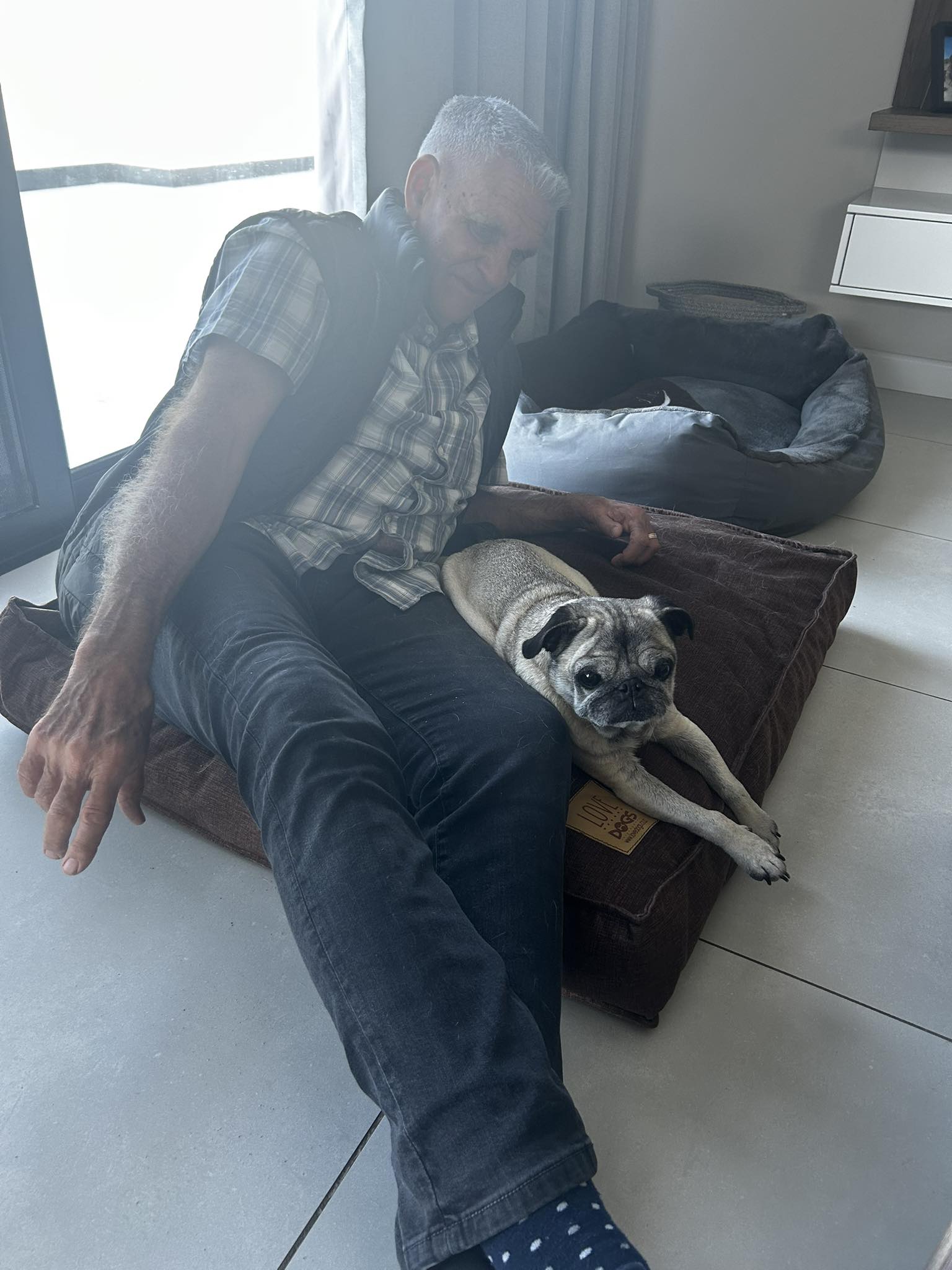 Betsie the Pug Begins Her 1,000km Journey to a New Life!