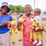 Pullamithi: The Handmade Giraffe With a Story and a Purpose