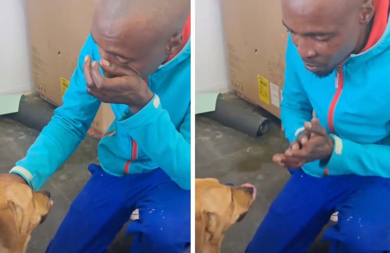 SPCA