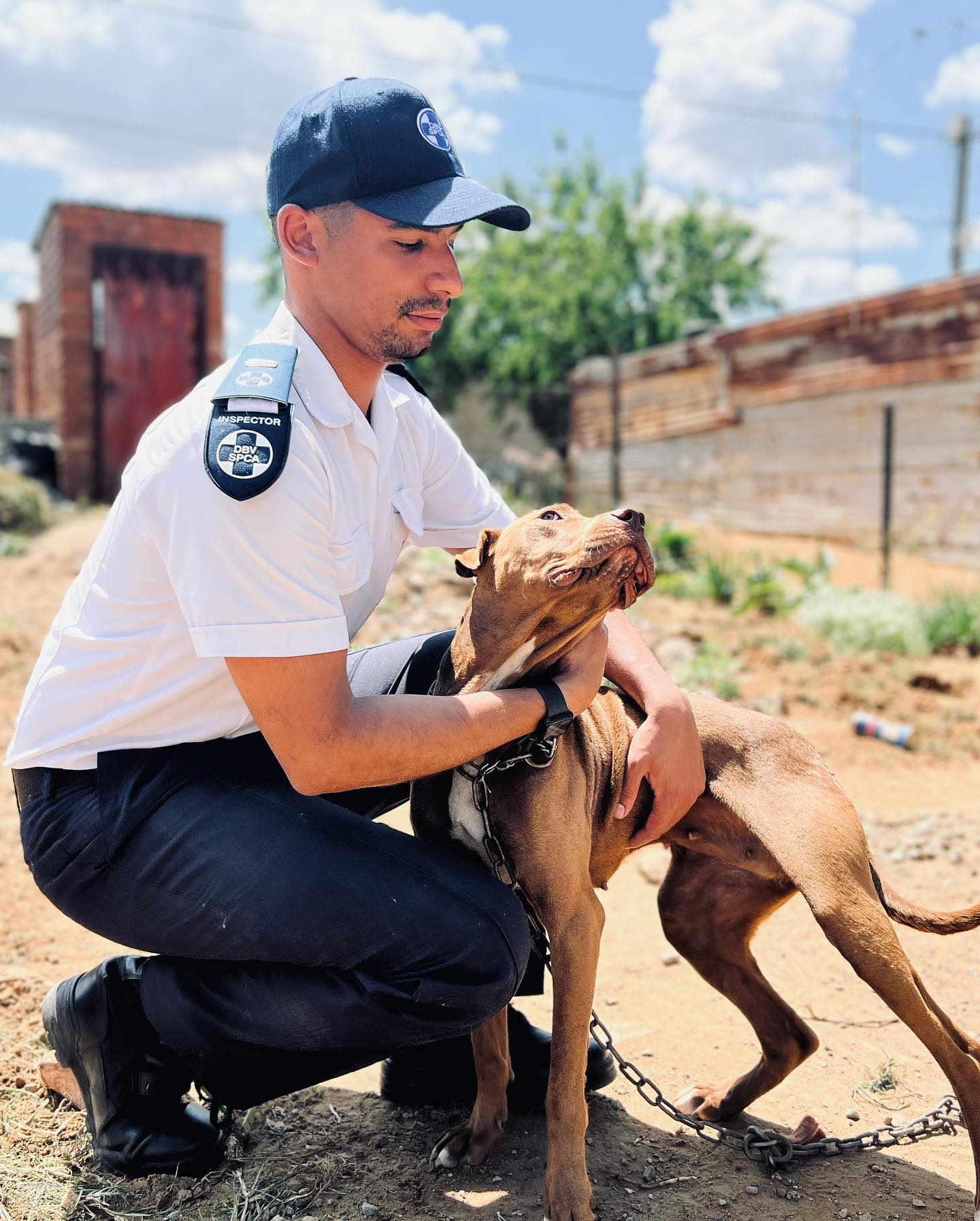 Most people choose a single path… Shiven Bodasing somehow chose three, and he’s succeeding in all of them.