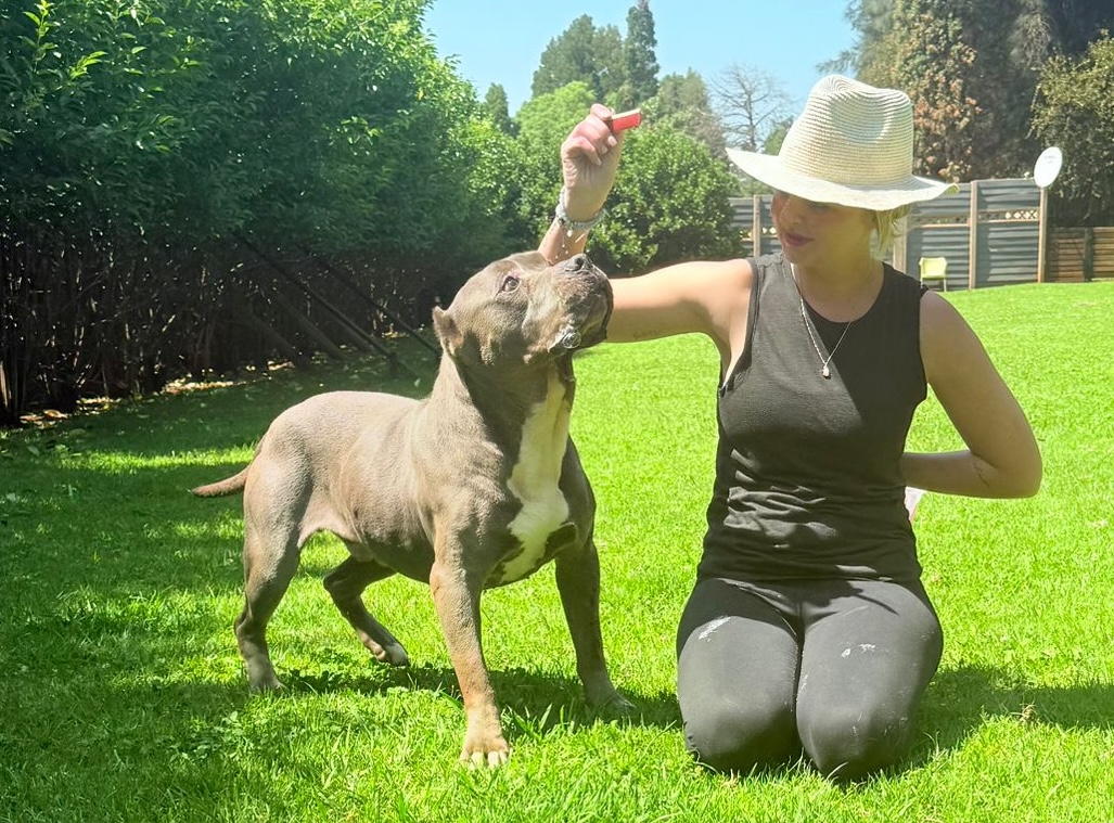 Judd’s Beloved Apollo Celebrates His Birthday... And Dreams of a New Beginning