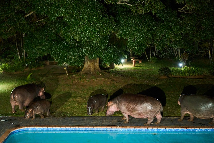 This is South Africa: GroundUp’s Most Powerful Photos of the Year