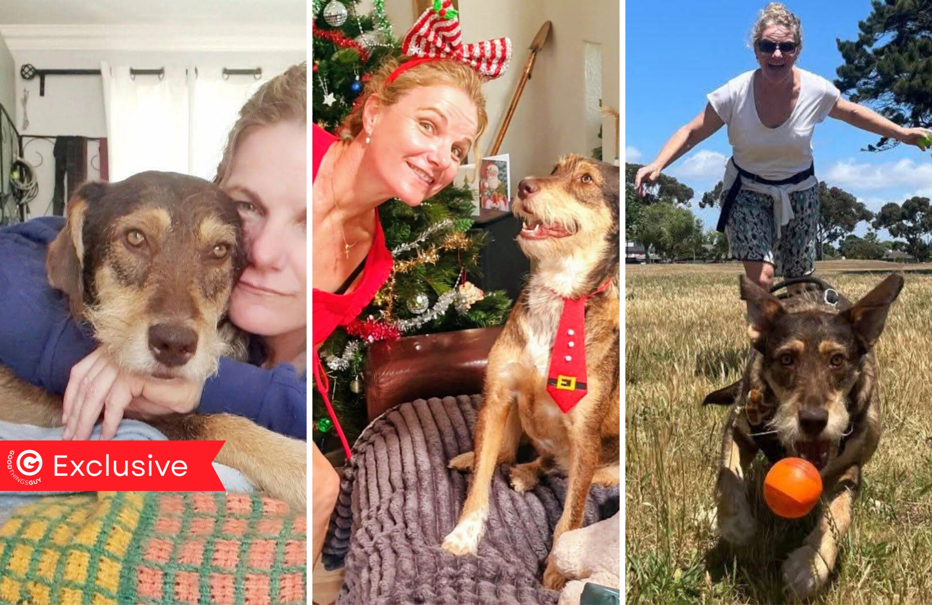 Buddy Boy The Singing Rescue Pup is Stealing Hearts with His Harmonies