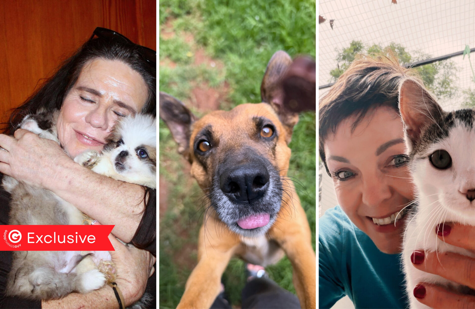 A "Pawty" With Purpose... That Raised R106,000 And Changed Lives