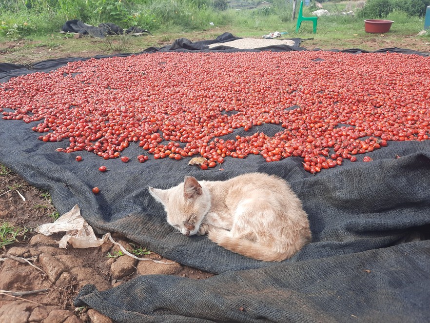 This is South Africa: GroundUp’s Most Powerful Photos of the Year