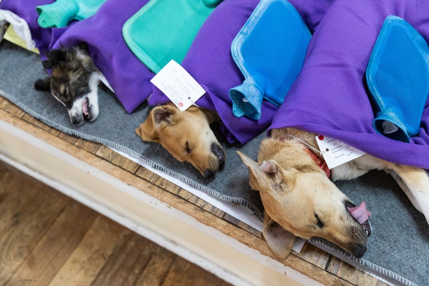 This is South Africa: GroundUp’s Most Powerful Photos of the Year