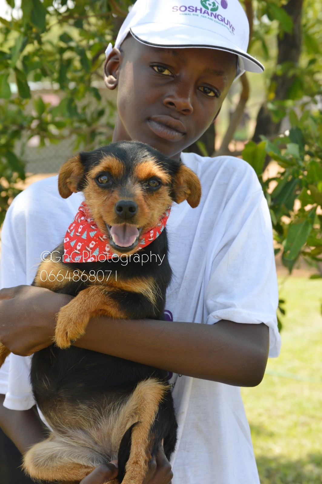 Left Behind But Not Forgotten: Inside Soshanguve’s Fight for Its Dogs