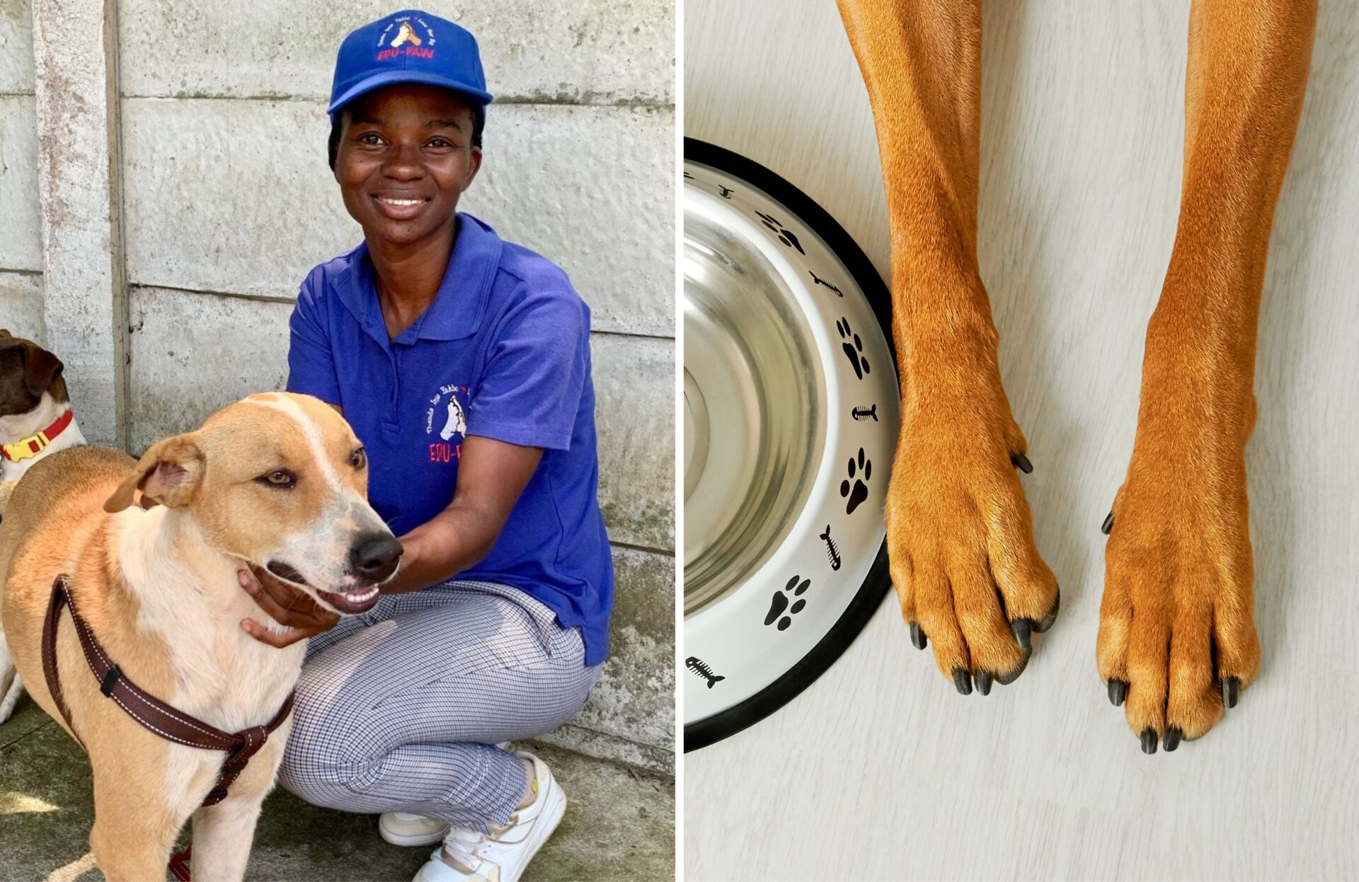 Edu-Paw