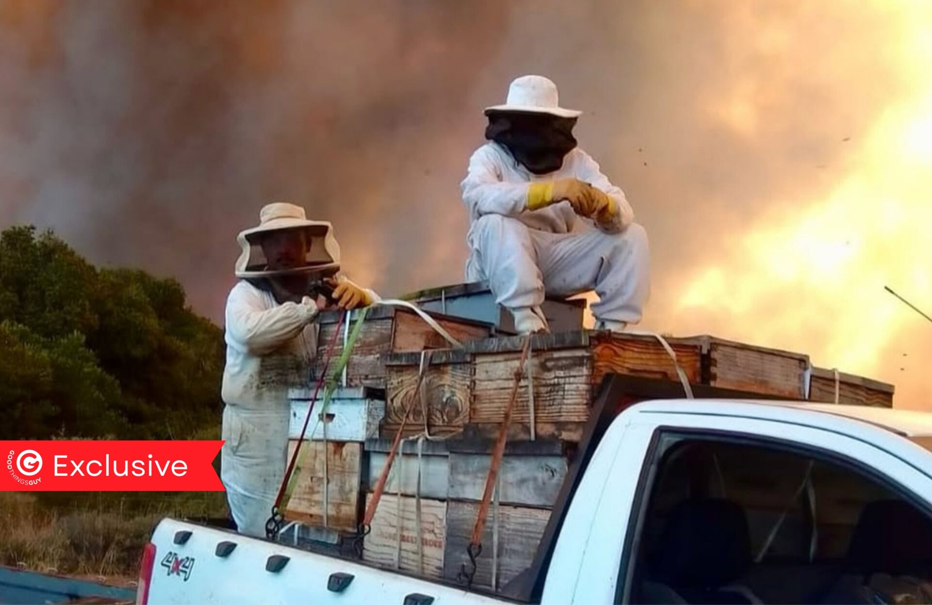 Stanford Fires Honeybee Heroes