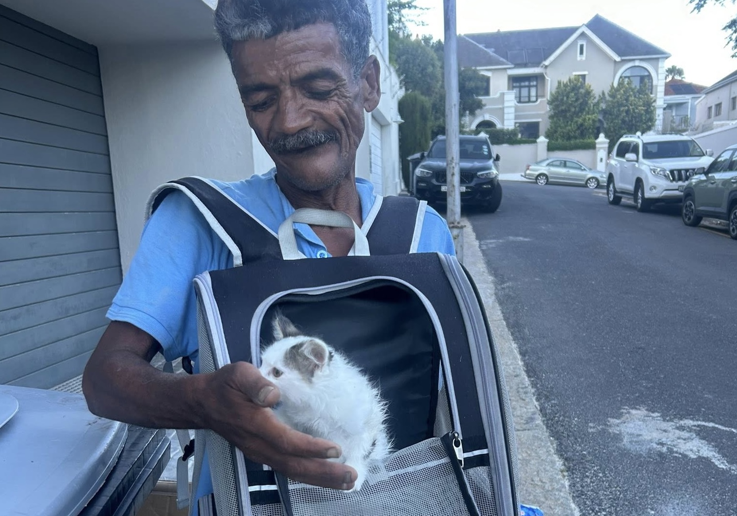 Kevin and a Stranded Kitten