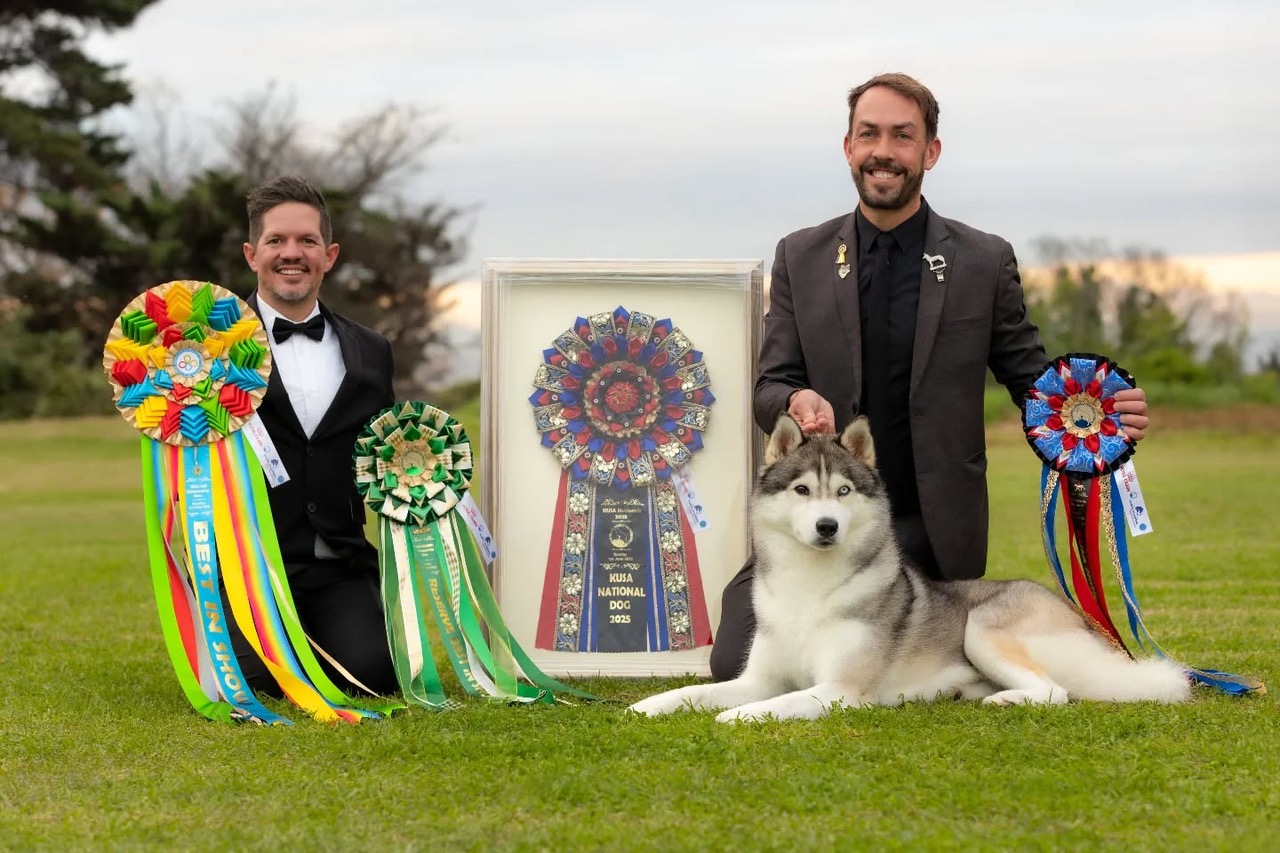 SA's top showdog