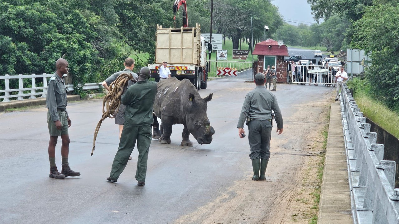 SANParks - Kruger National Park