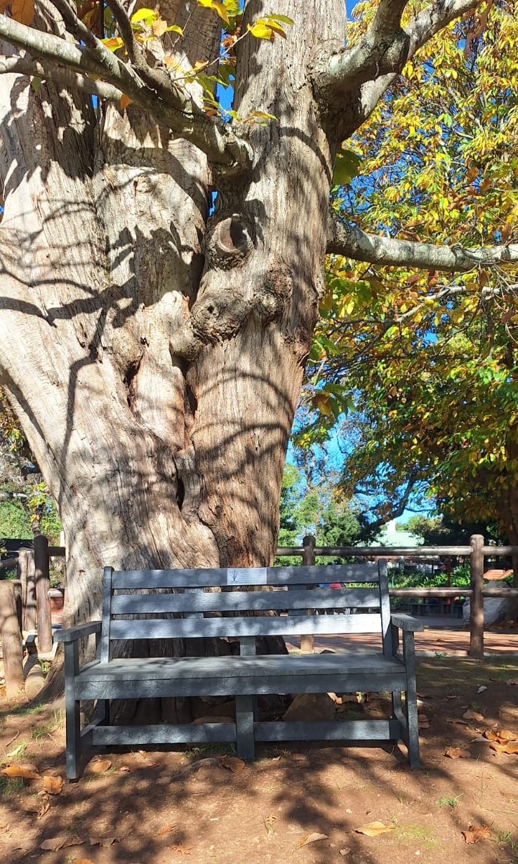 KY-ND (And Kindness): How a Mother is Honouring Her Son!