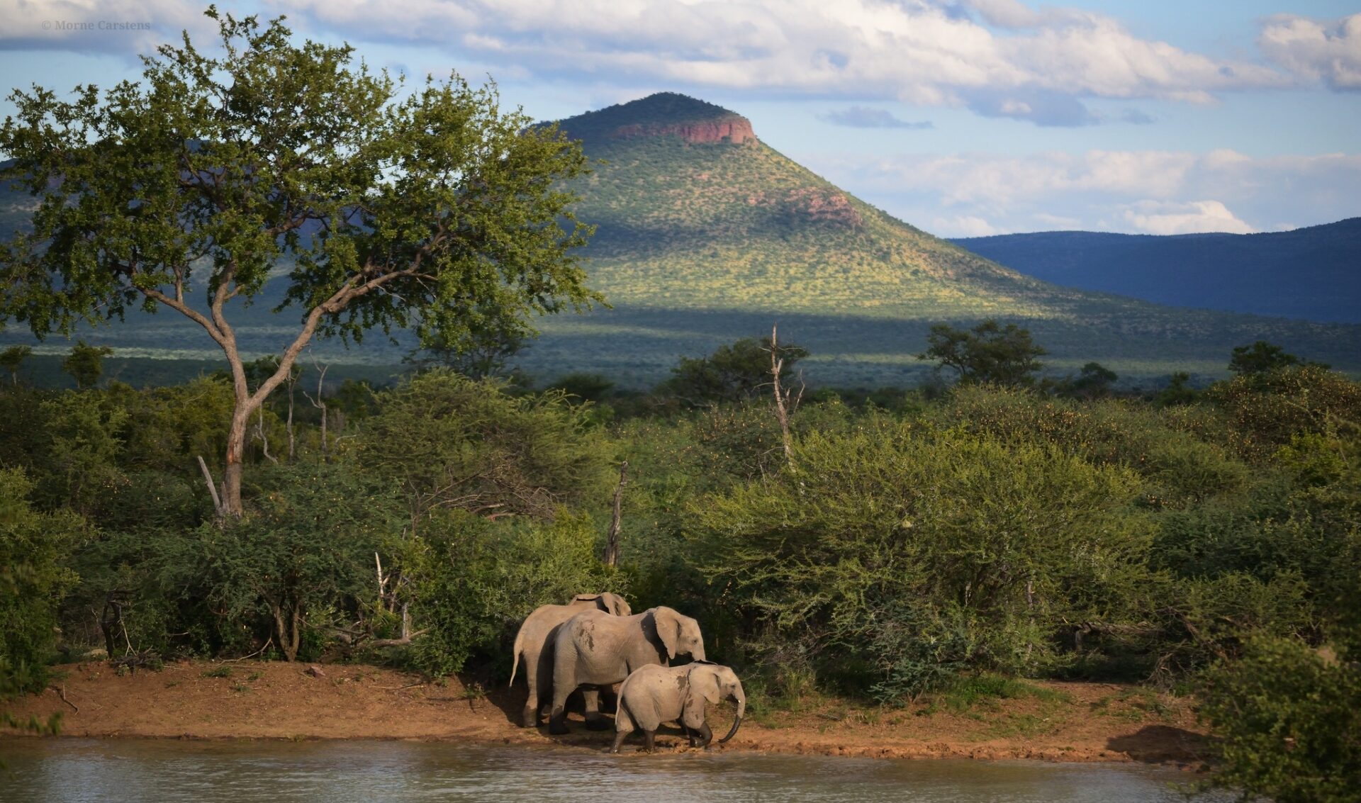 The Marakele Marathon: Where Every Kilometre Protects Something Bigger