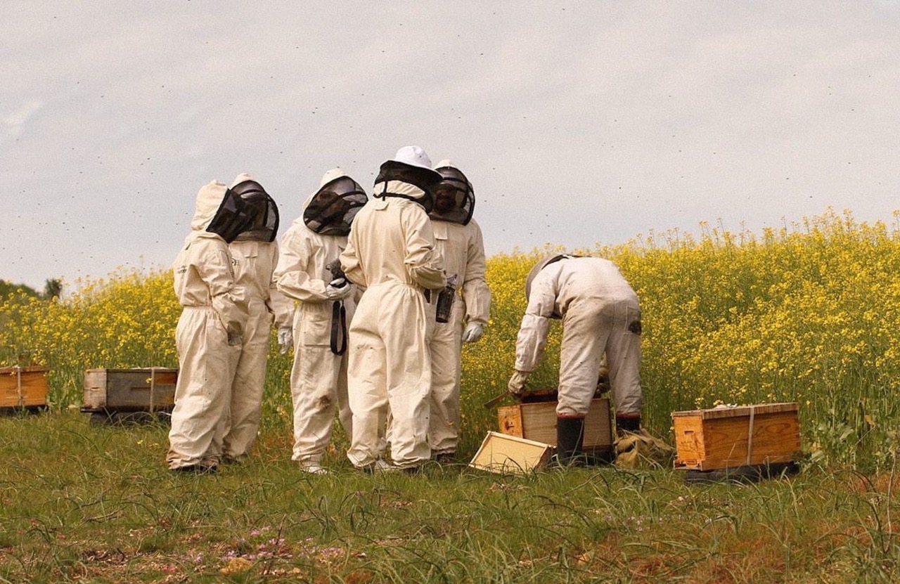 Honeybee