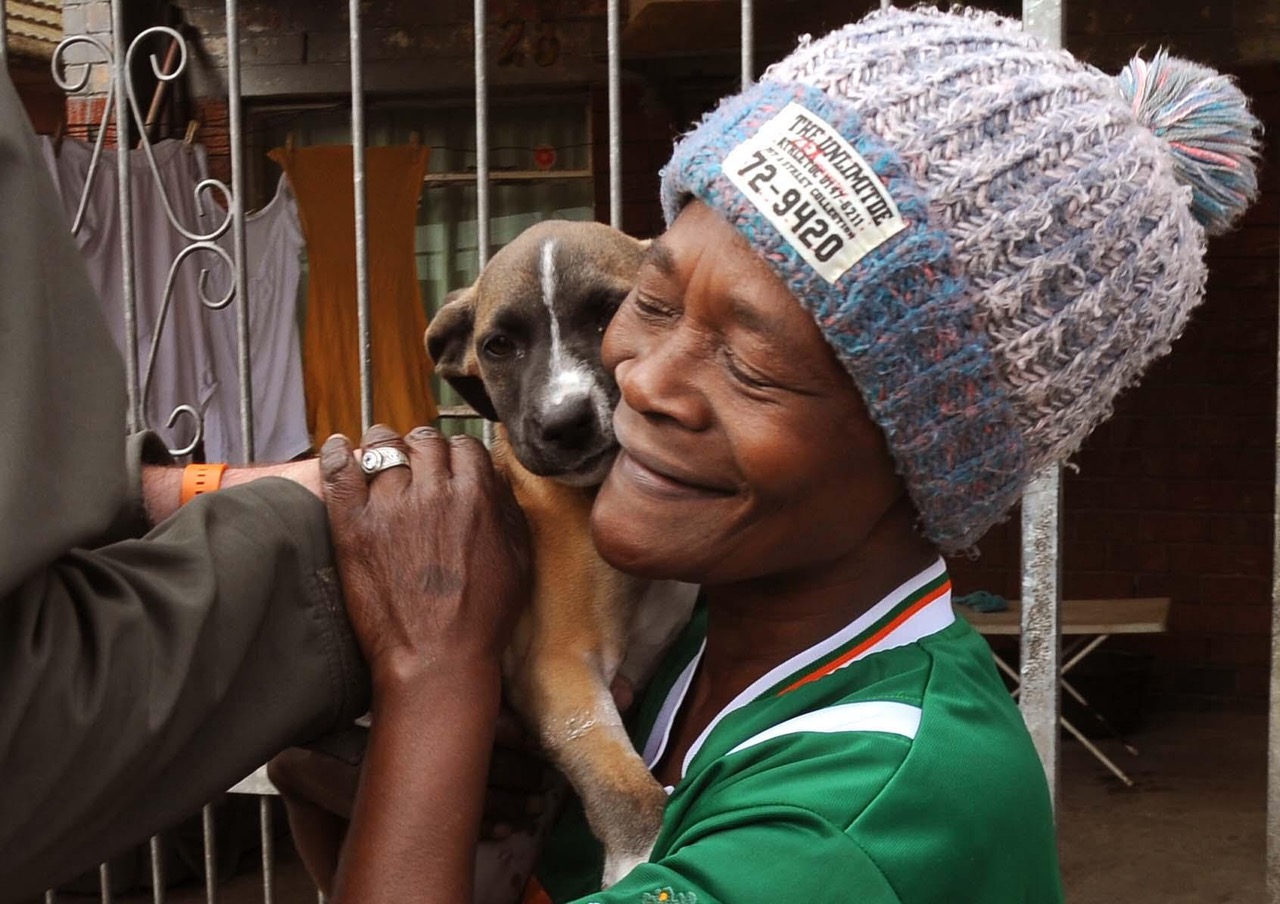 World Spay Day