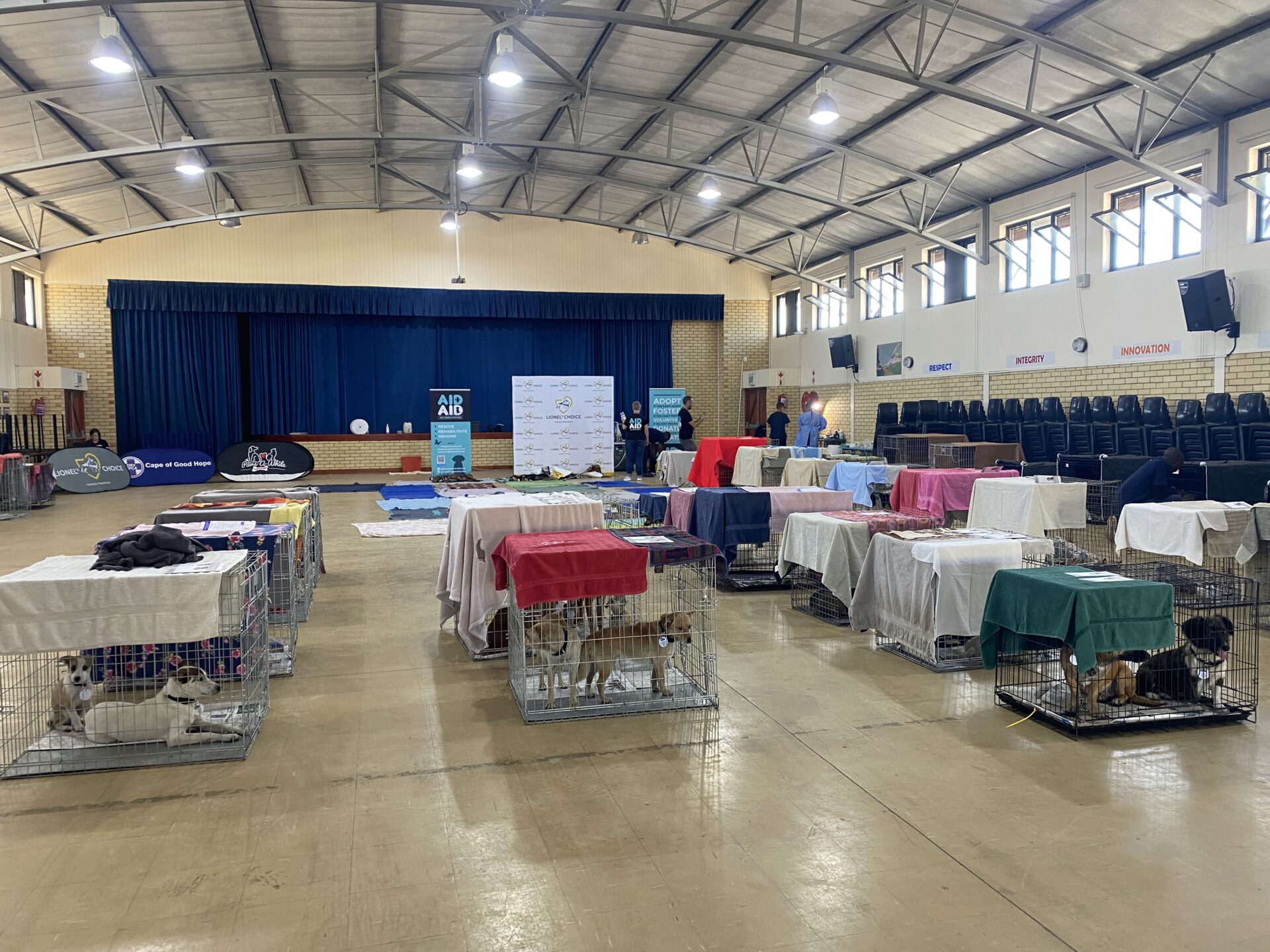 Lavender Hill Sterilisation Drive