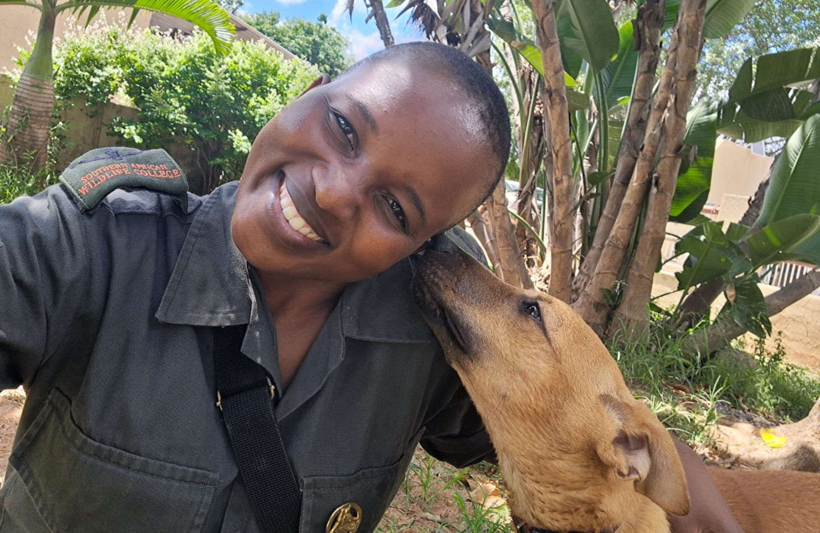 conservation dogs