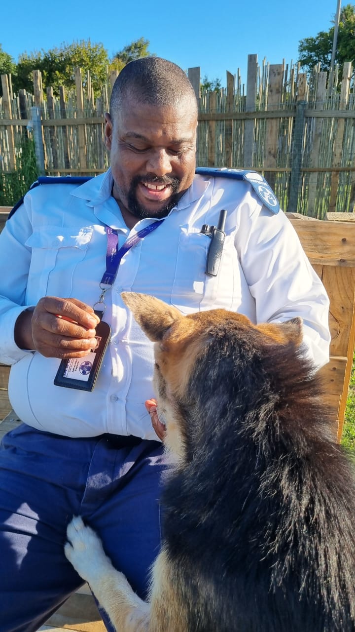 3 Years Later, Justice Arrived for 2 Forgotten Dogs | Cape of Good Hope SPCA