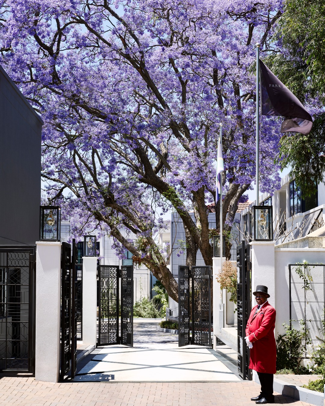 SA Shines on Time Magazine's 'World’s Greatest Places to Visit in 2026' List!