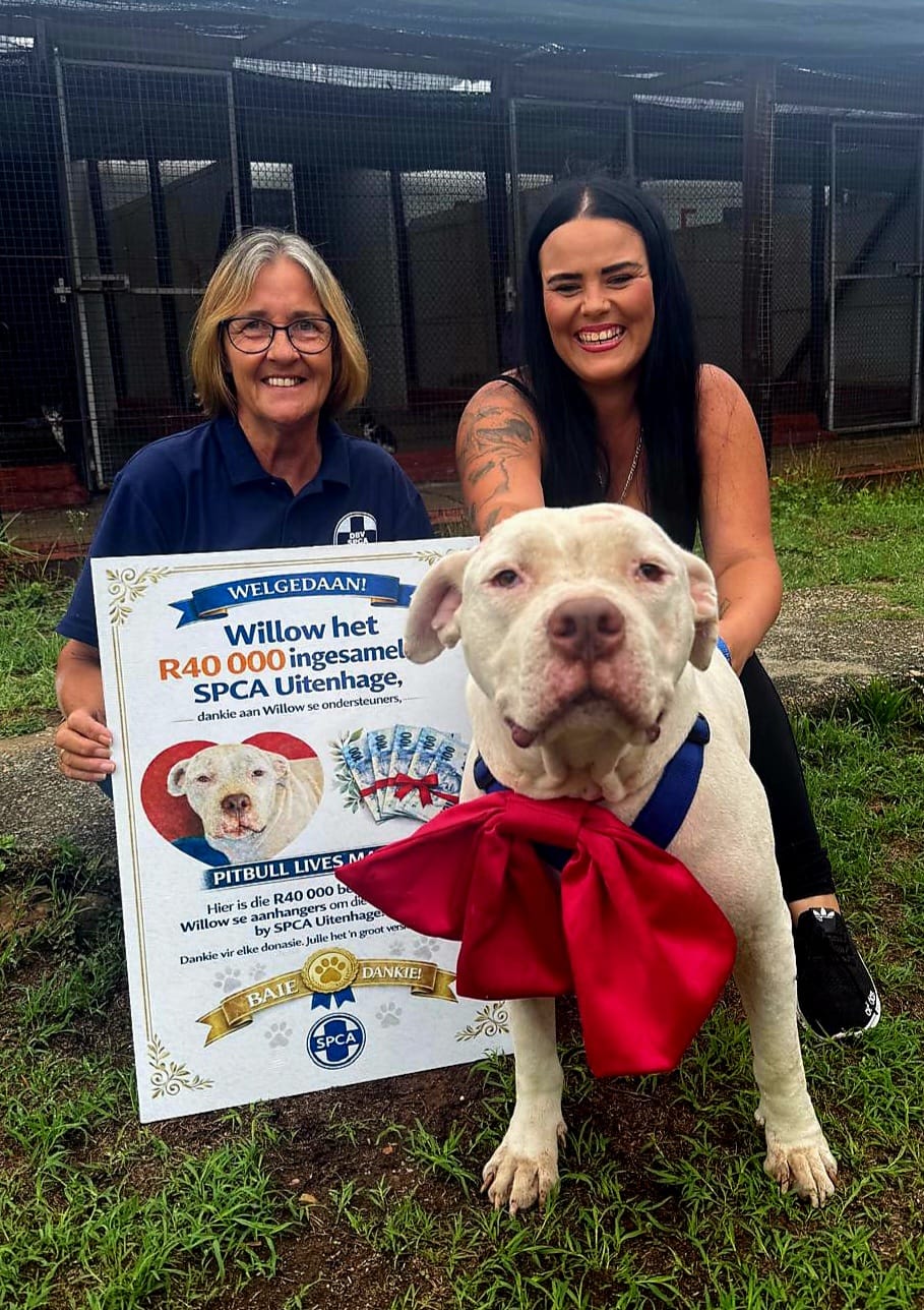 Supporters Raise Every Cent Needed for Uitenhage SPCA!