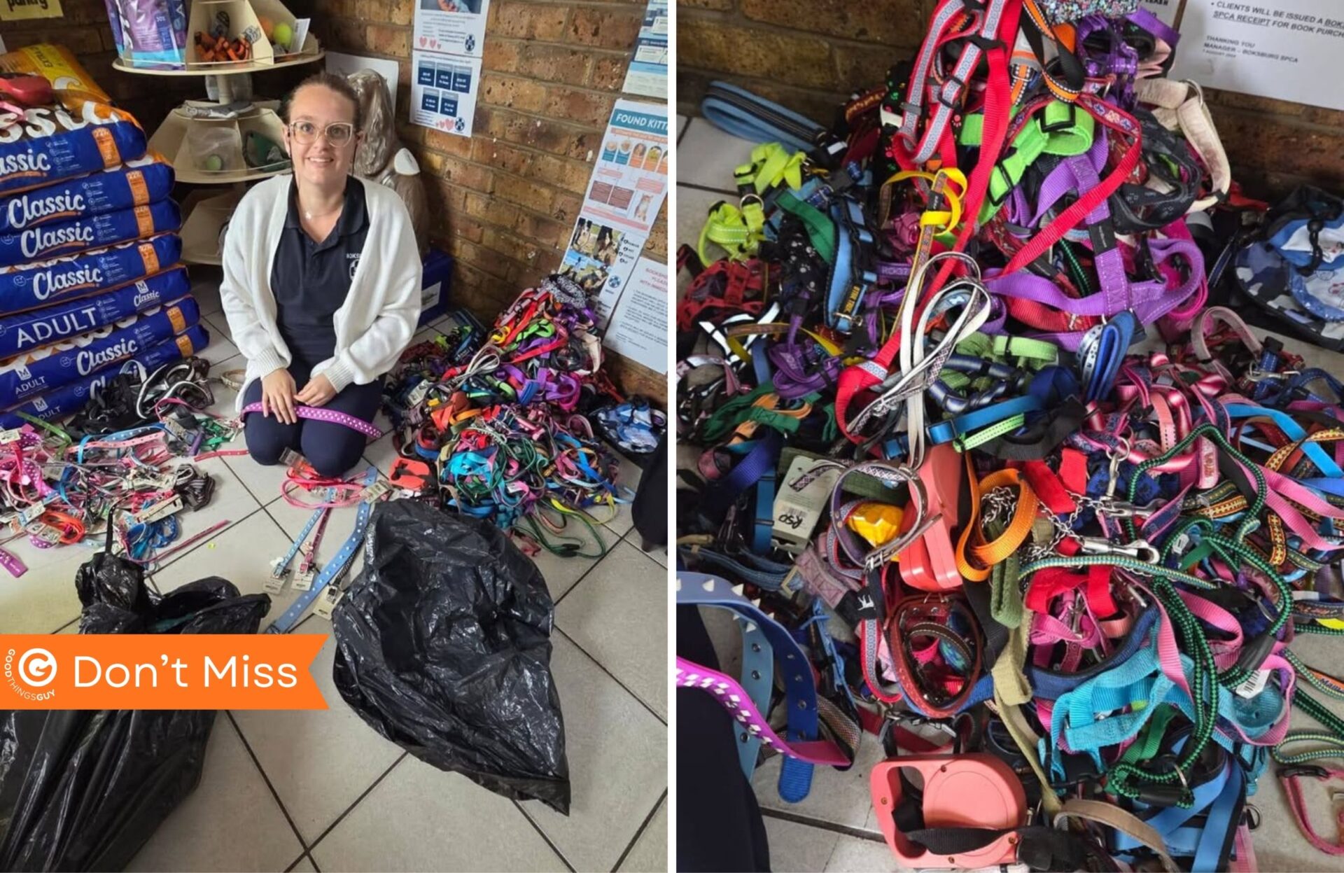 Boksburg SPCA