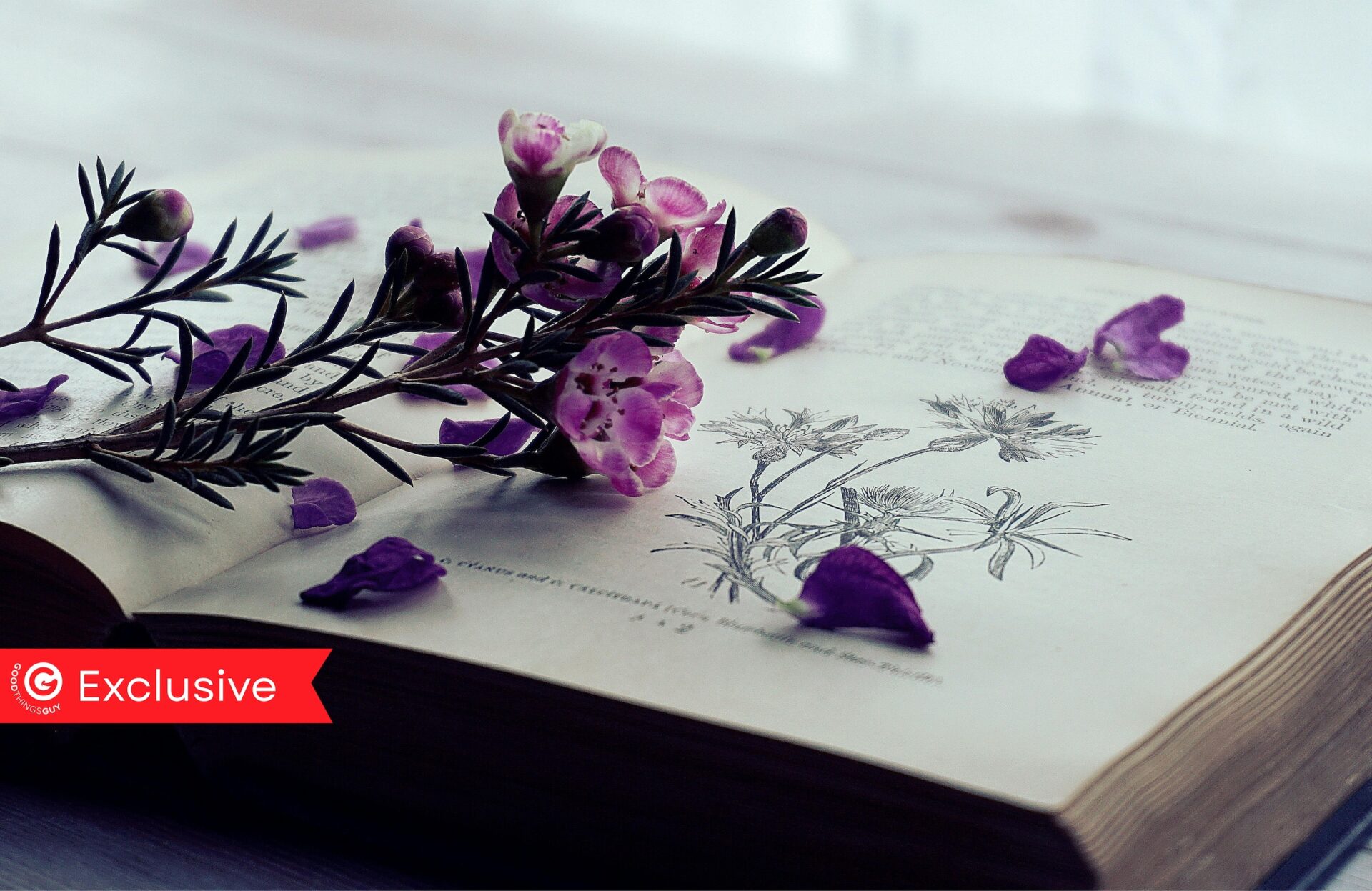 South African Author: Finding Your Eden Turns Pain Into Purpose