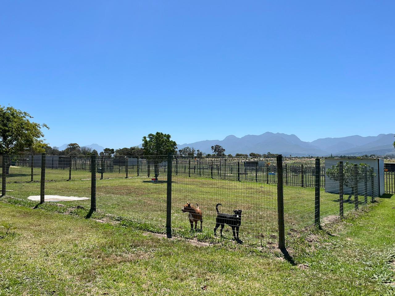 George SPCA - Garden Route