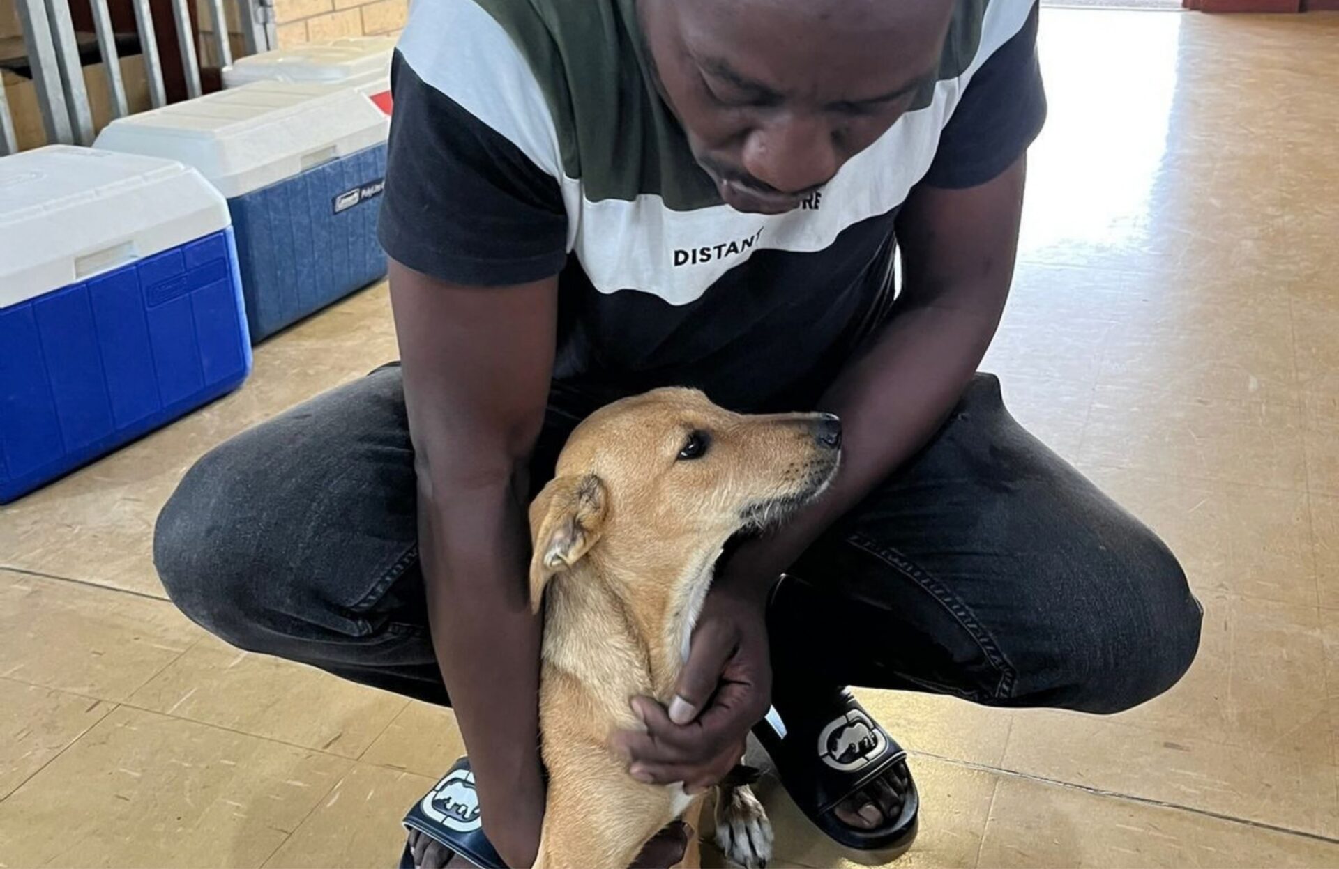 How 1 Conversation Helped Change the Future for 4 Dogs