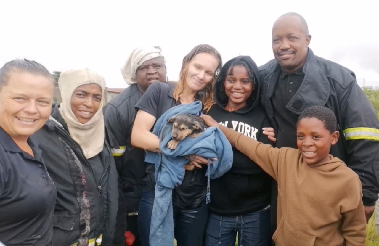 Puppy Rescue