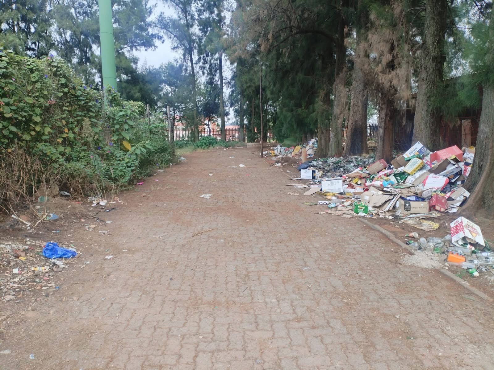 Cleanup Heroes Work to Restore Dignity to Pretoria’s Resting Places