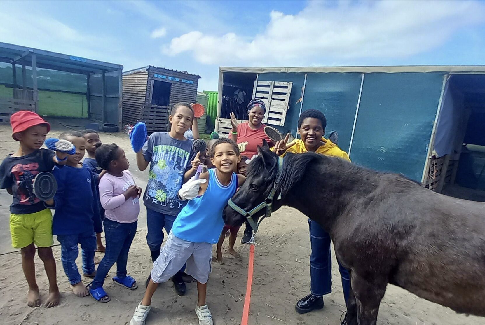 Call for Cape Town to Assist Haven for Horses Who Help People Heal