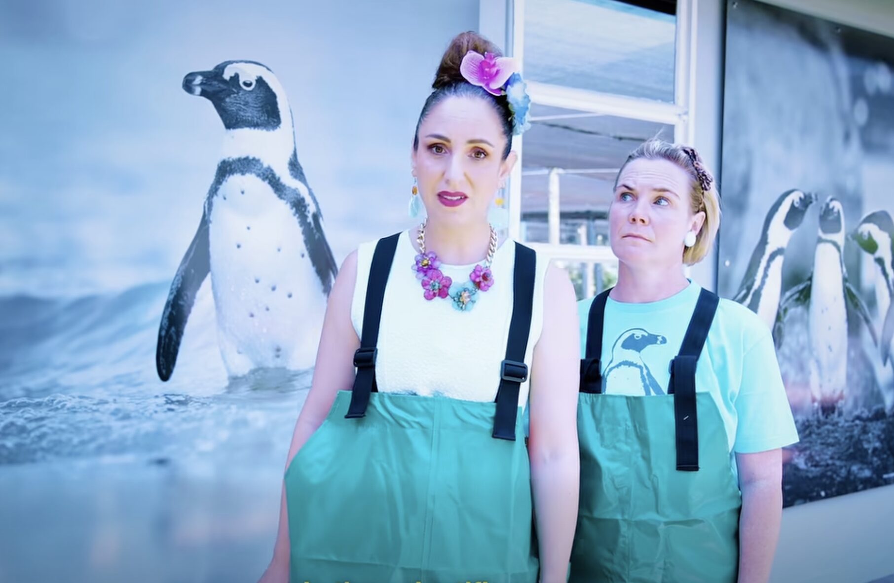 Suzette DIY