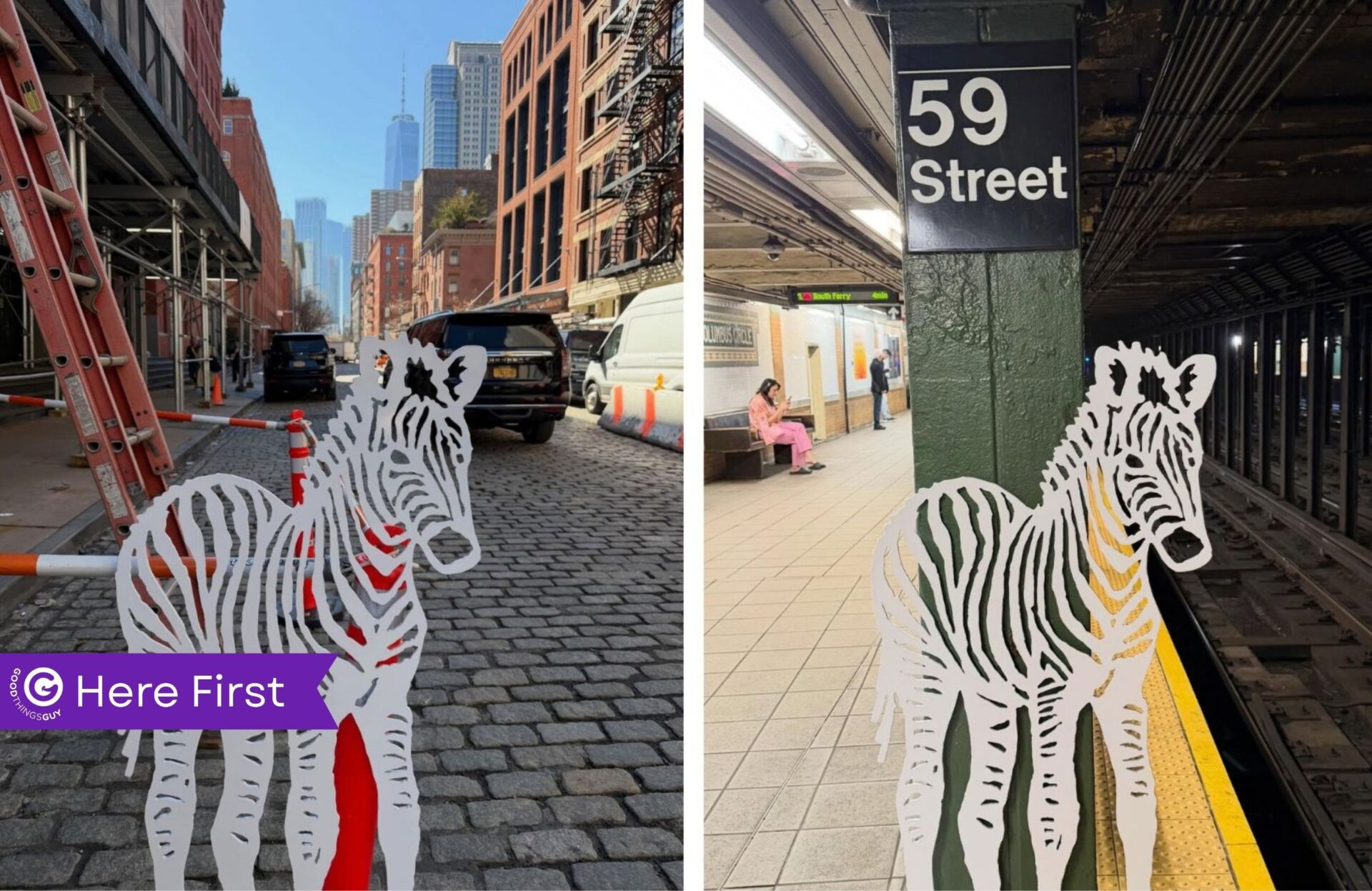 Zebra New York