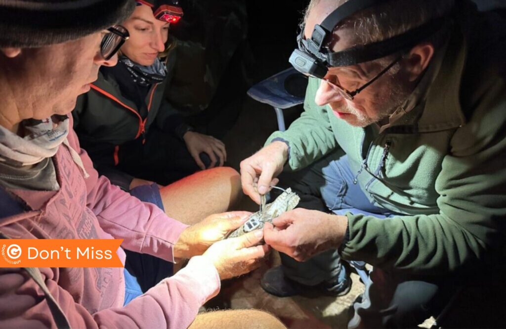 BirdLife South Africa