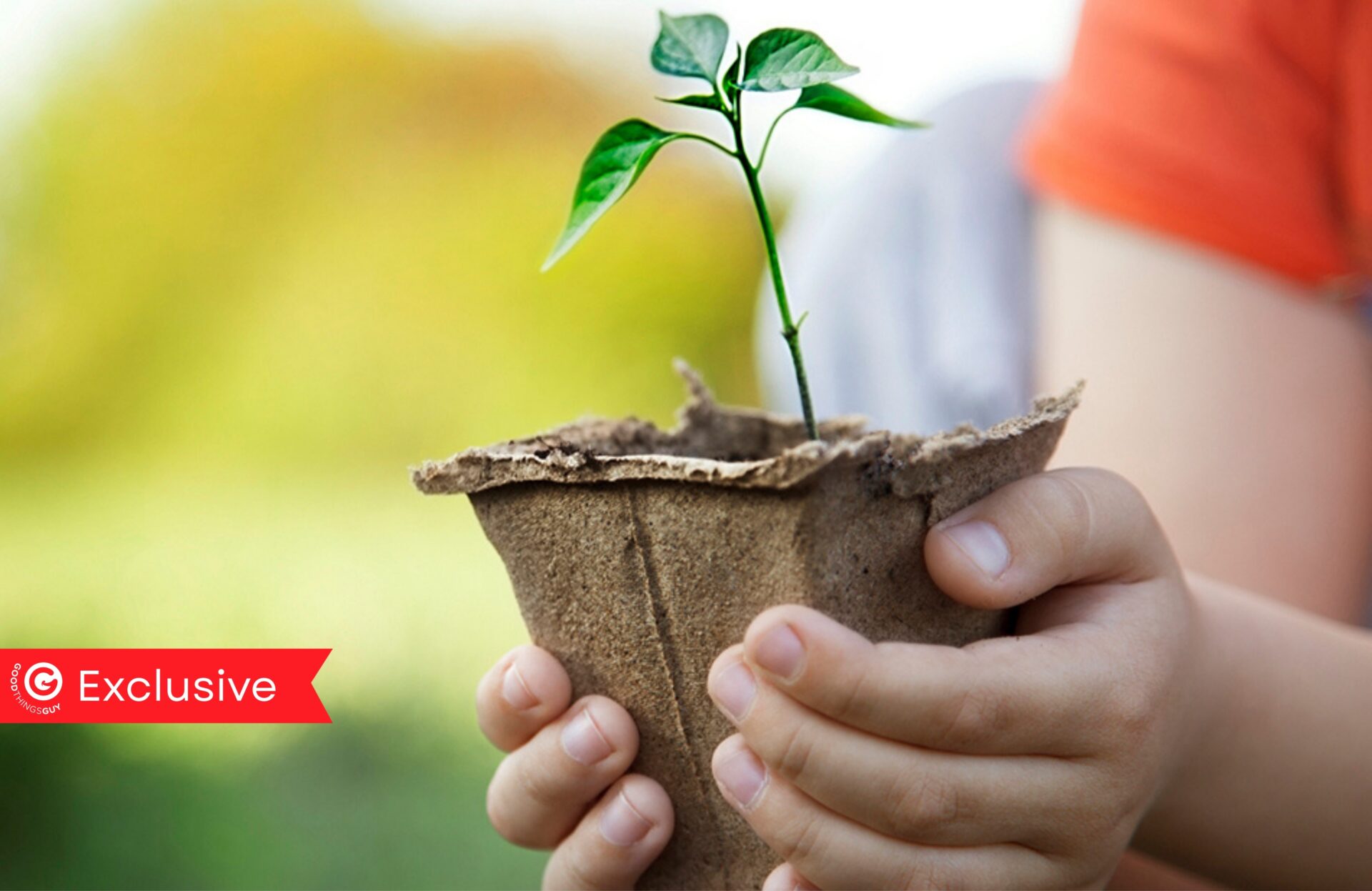 The Transformative Power of Plants: How One Program is Changing Lives