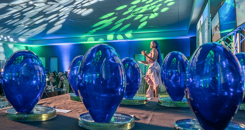 Heads Up to Our Earth-Kind Heroes – Search for SA’s Green Stars is On!