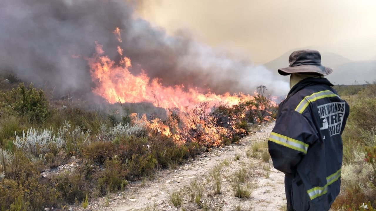 Fire season Western Cape