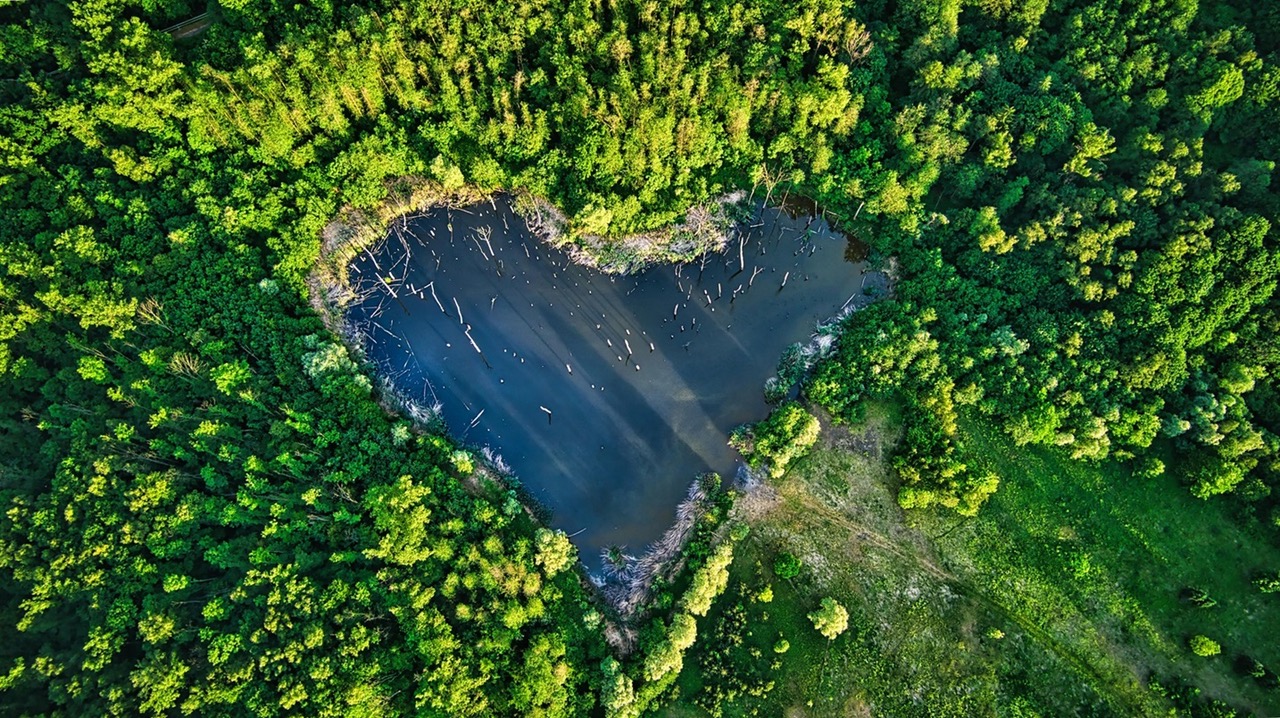 The World Celebrates the First Jane Goodall Day on Friday!