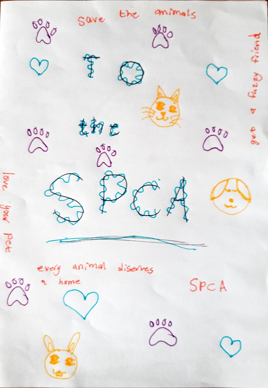 10-Year-Old Aimee Uses Her Scouts’ Challenge to Become a Hero for Paws!