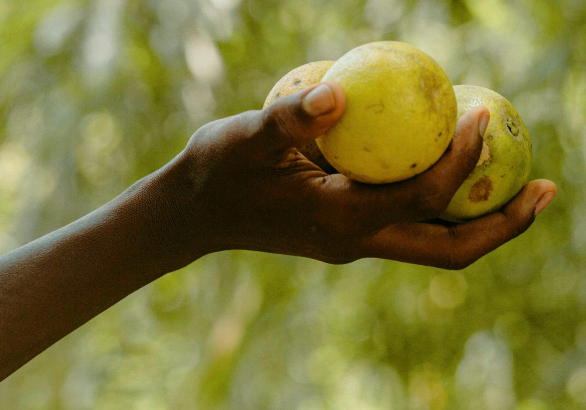 How Two Limpopo Communities Are Keeping Hope Alive