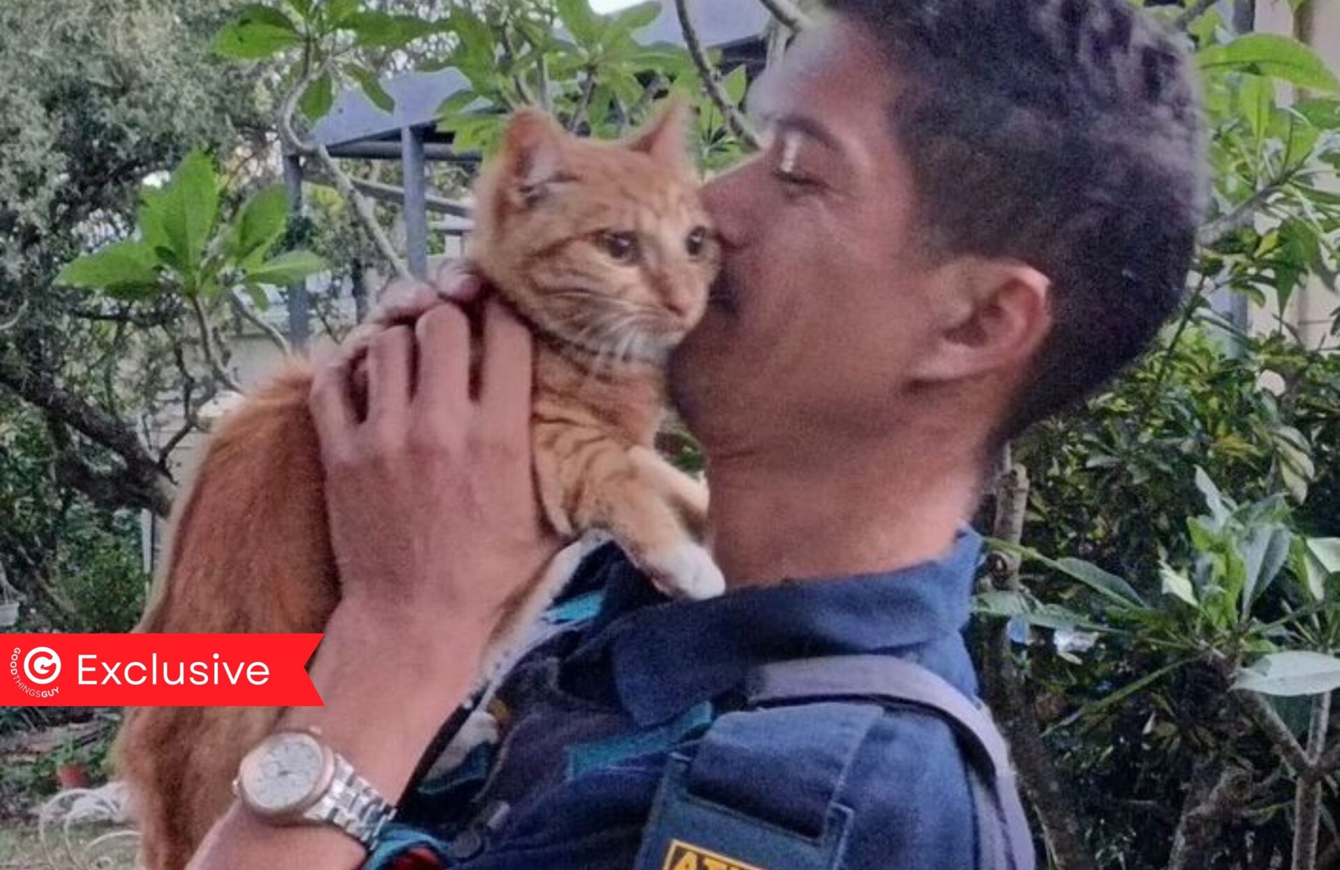 Security Officer Saves Kitty Trapped High Up Tree – 'I Was Equally as Afraid'