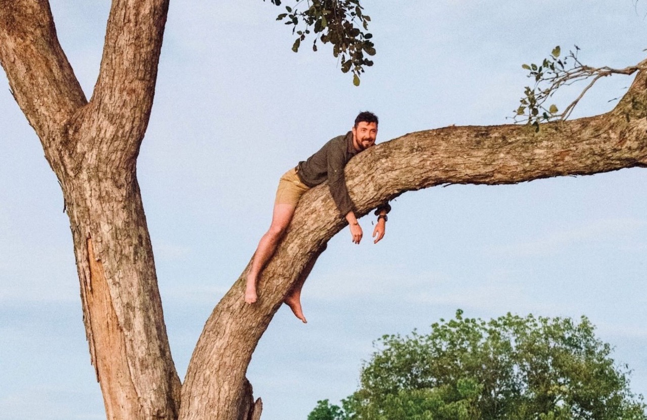 Safari Leopard