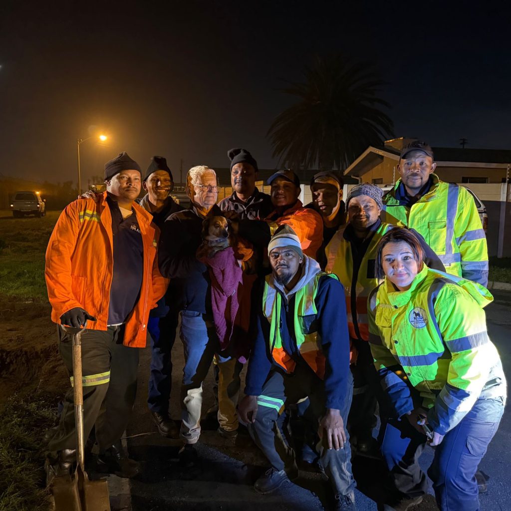 Refuse Rescue Rescue Teams Refuse to Give Up on Dog Trapped Deep Inside Stormwater Drain