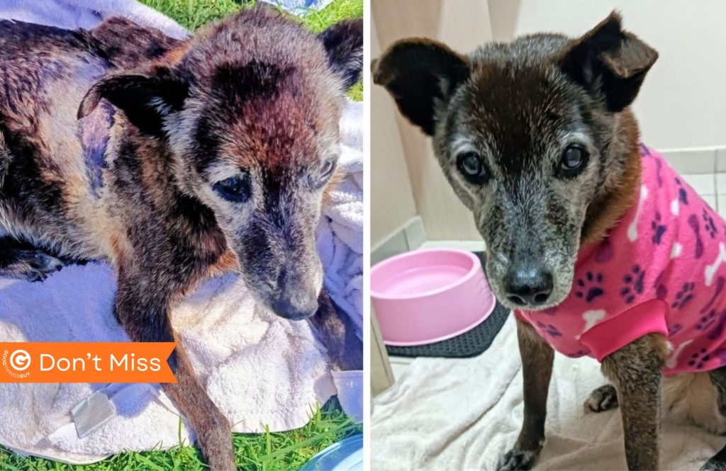 Ouma Discovers the Joy of a Toy After a Life of Neglect